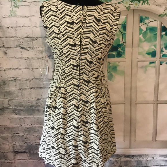 EMERALD SUNDAE  FIT & FLARE DRESS, IVORY/BLACK - Picture 4 of 4